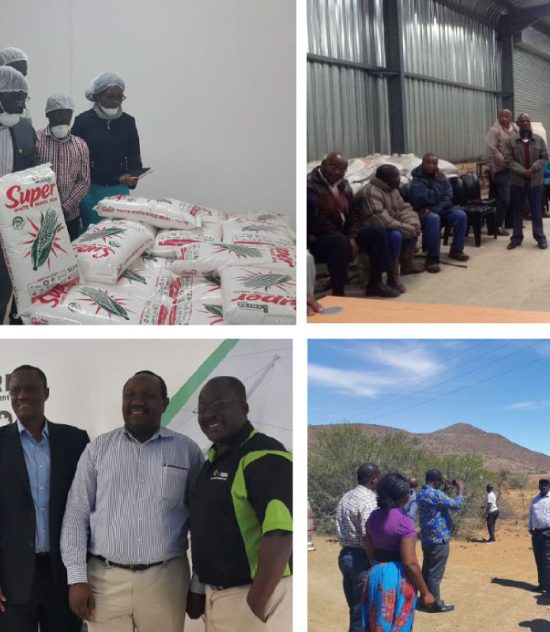 Report on Assessment of Rural Enterprise Development (RED) Hubs and the Proposed Development of a Sustainable Sorghum Production System in Eastern Cape Province, South Africa