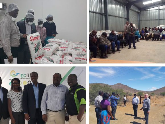 Report on Assessment of Rural Enterprise Development (RED) Hubs and the Proposed Development of a Sustainable Sorghum Production System in Eastern Cape Province, South Africa