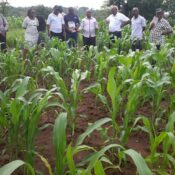 Extension-staff-and-field-team-during-a-seed-production-training-at-the-Kitui-ATC-in-2015