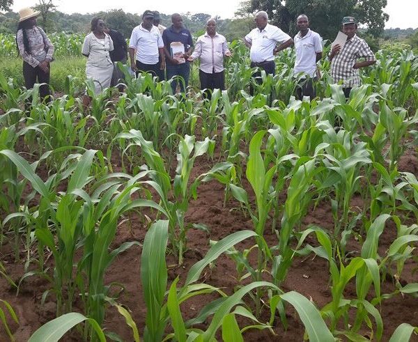 Extension-staff-and-field-team-during-a-seed-production-training-at-the-Kitui-ATC-in-2015