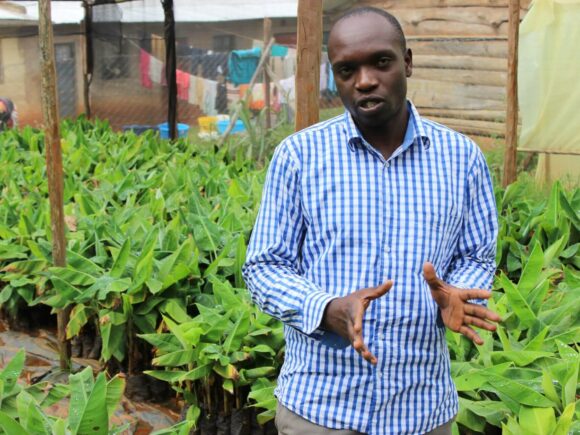 Youth Supported in Good Seed Multiplication Business