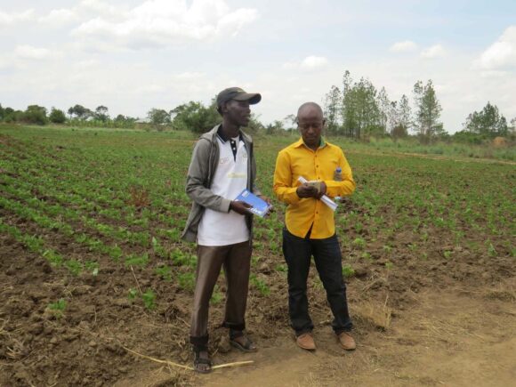 Building Youth-Based Agripreneurs in Seed Multiplication in Tanzania