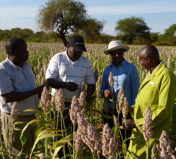 SMU-Project-team-engaging-mr-kyalo-at-his-farm