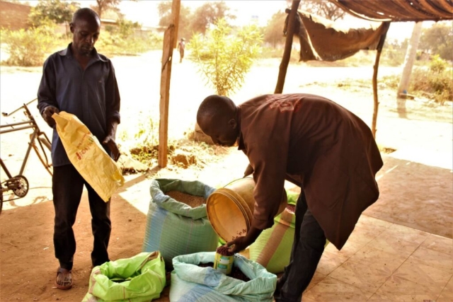 Agricultural Market Systems Development