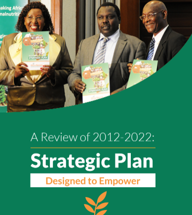 A Review of 2012 – 2022 Strategic Plan