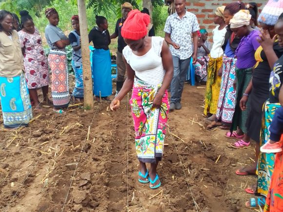 Women and Youth benefit from Seed and GAPs Training in Upper and Lower Eastern.