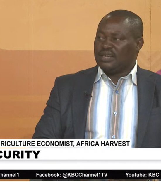 Kennedy Oyugi, Agricultural Economist at Africa Harvest addresses food security on KBC