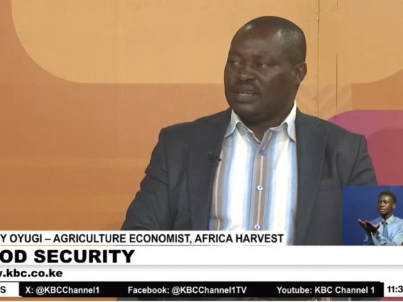 Kennedy Oyugi, Agricultural Economist at Africa Harvest addresses food security on KBC