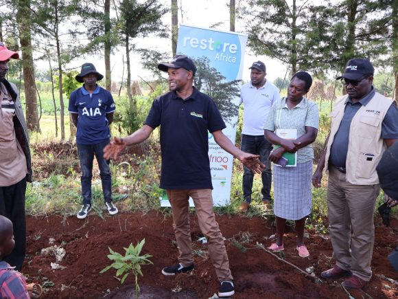 Establishment of Avocado and Mango Demonstration Plots in Elgeyo Marakwet County