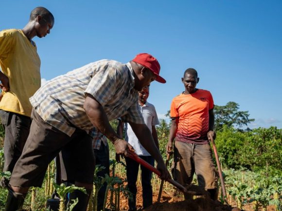 How a Citrus farmer views trees as an investment for his golden years