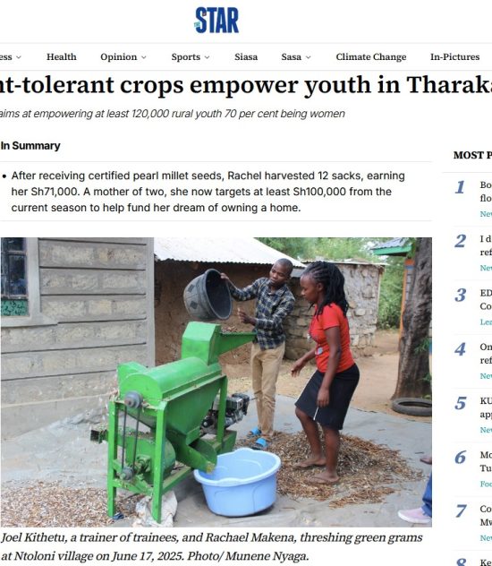Drought-tolerant crops empower youth in Tharaka Nithi