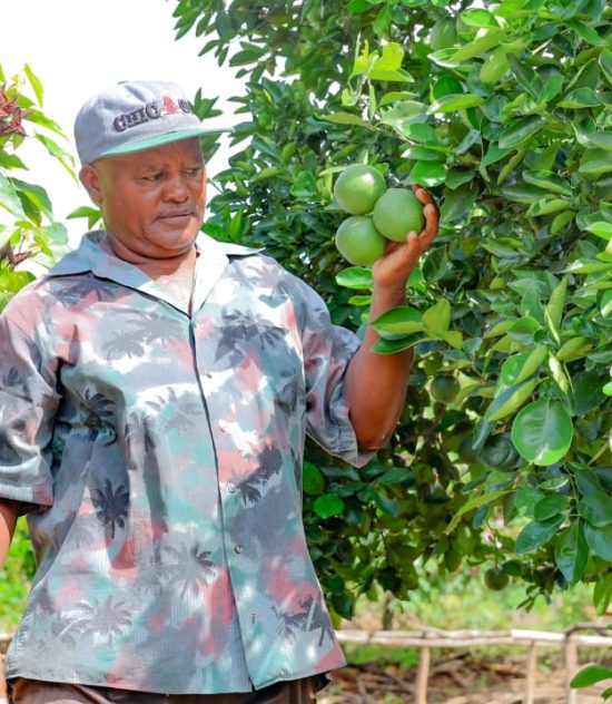 Kwale growers embrace smart farms to tackle climate change