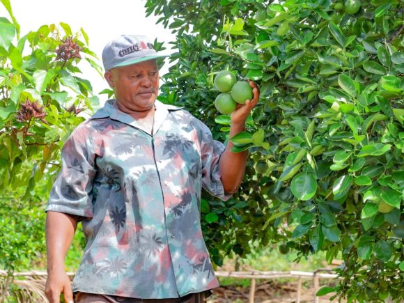 Kwale growers embrace smart farms to tackle climate change