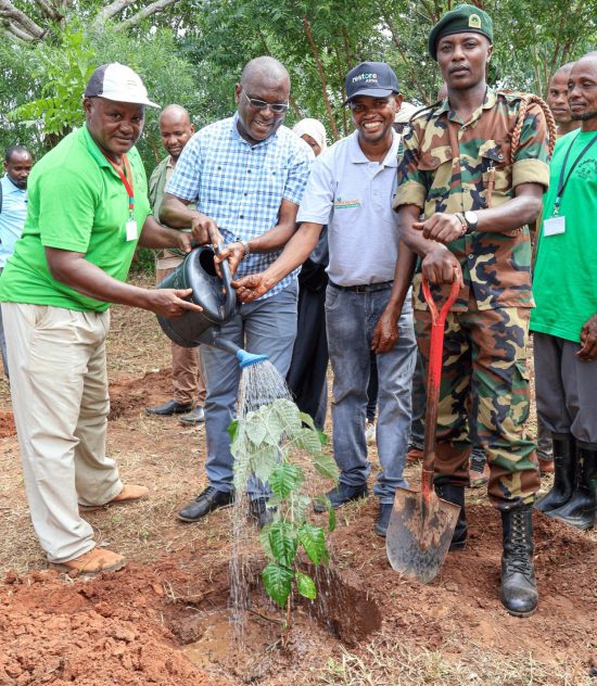 Farmer Field Day in Kwale, Kikoneni