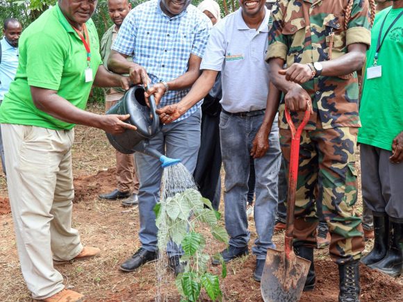 Farmer Field Day in Kwale, Kikoneni