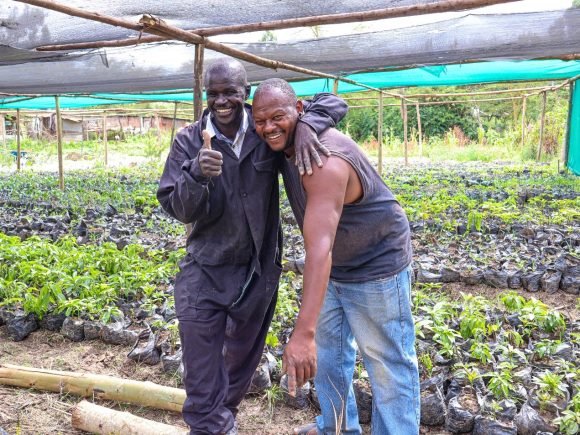 From an Unplanned Encounter to Landscape Restoration: Antony Kimonjino’s Journey