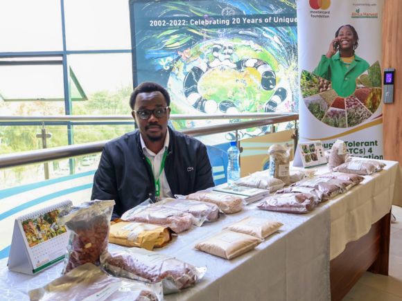 My internship experience as a Computer Science Student in a Communications Department